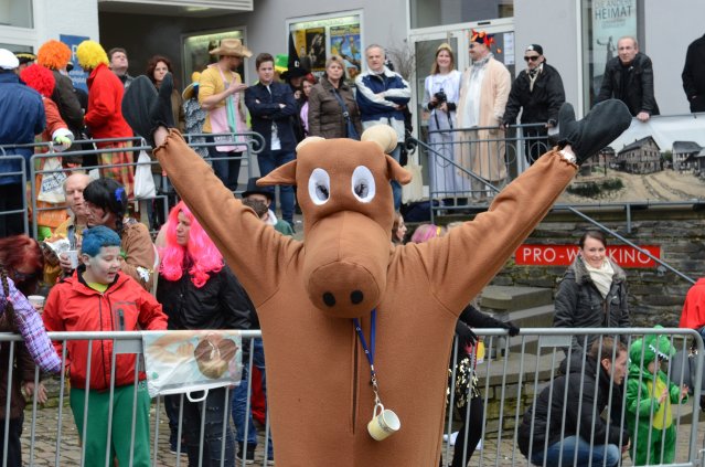 umzug simmern_140301_vb_068